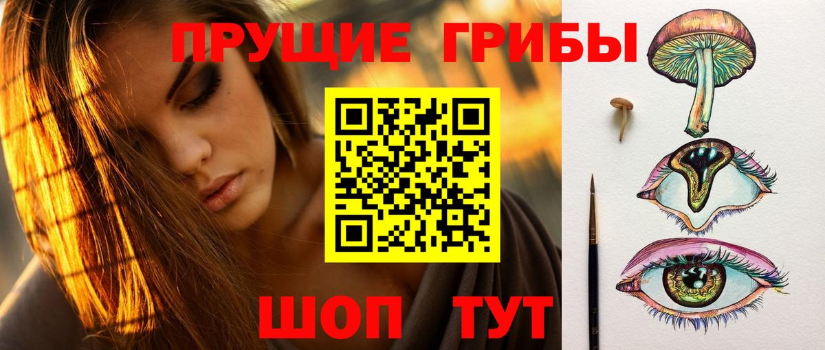 Галлюциногенные грибы GOLDEN TEACHER  Вход с VPN  Красный Сулин 