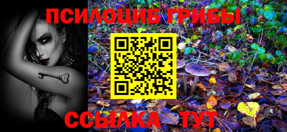 Галлюциногенные грибы мицелий  Красный Сулин 